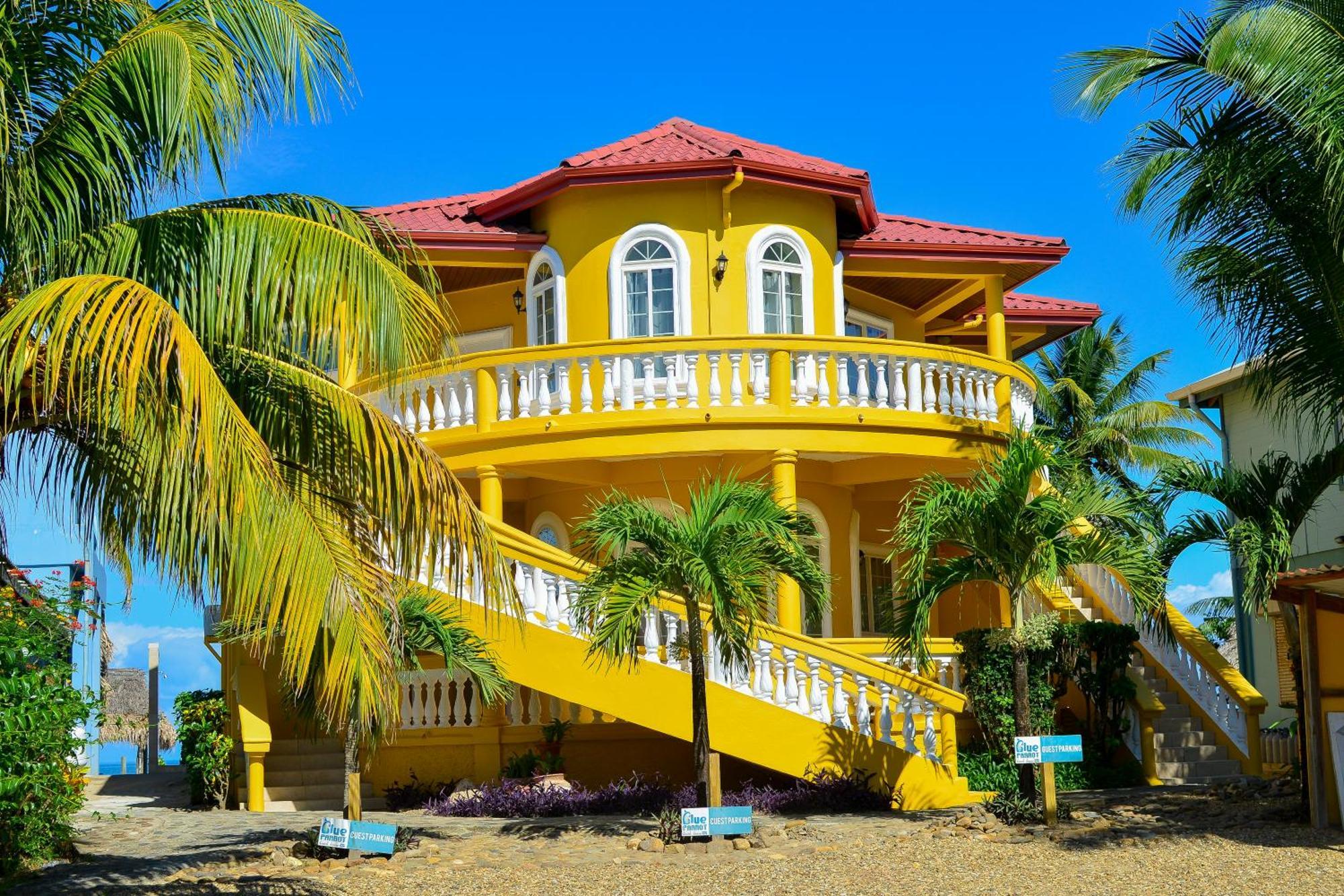 Blue Parrot Beach House And Villas Hopkins Exterior foto